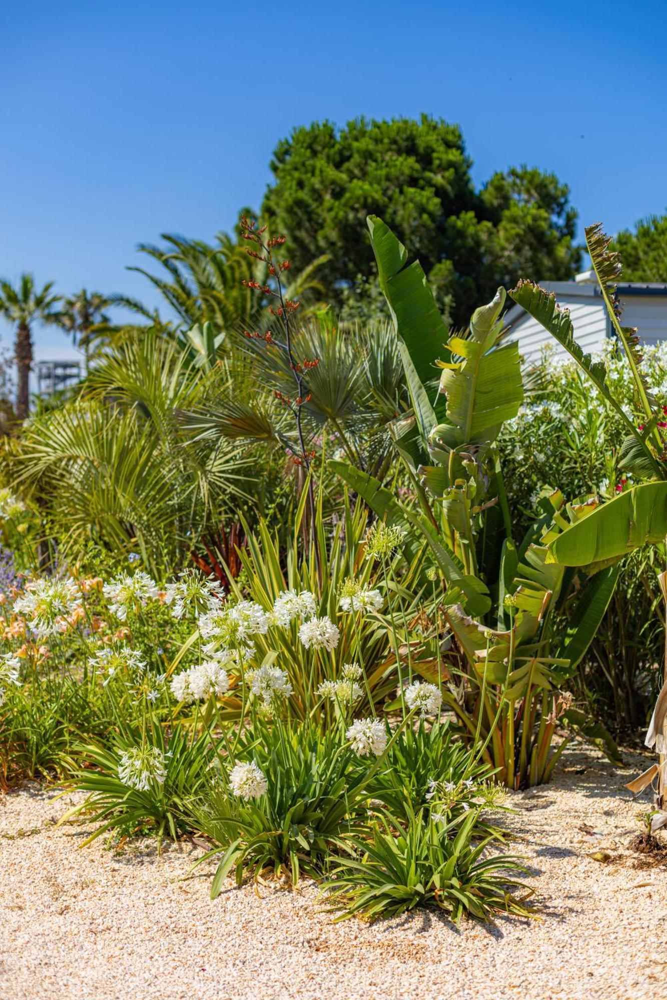 Residence Antinea Argelès-sur-Mer Εξωτερικό φωτογραφία